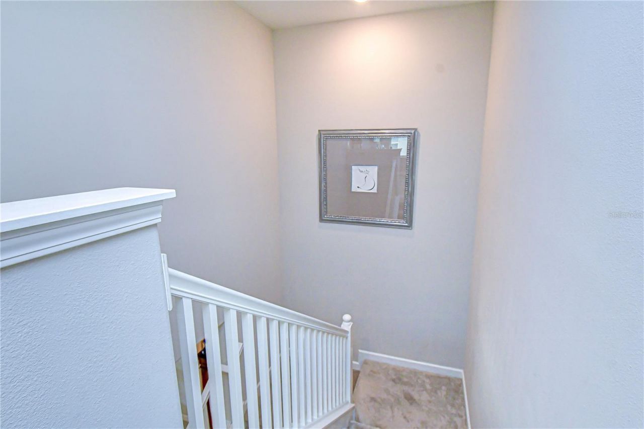 25069 Lambrusco Loop , Lutz, FL 33559 Photo