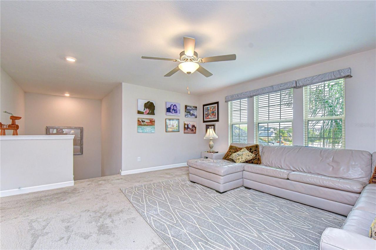 25069 Lambrusco Loop , Lutz, FL 33559 Photo