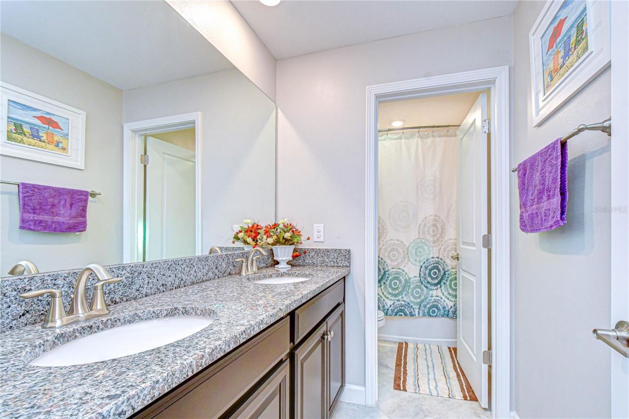 25069 Lambrusco Loop , Lutz, FL 33559 Photo