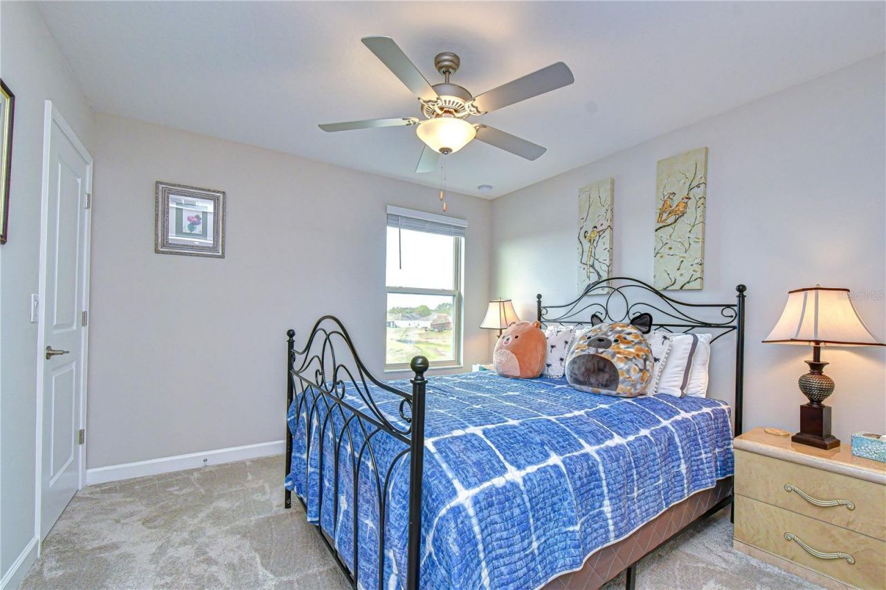 25069 Lambrusco Loop , Lutz, FL 33559 Photo