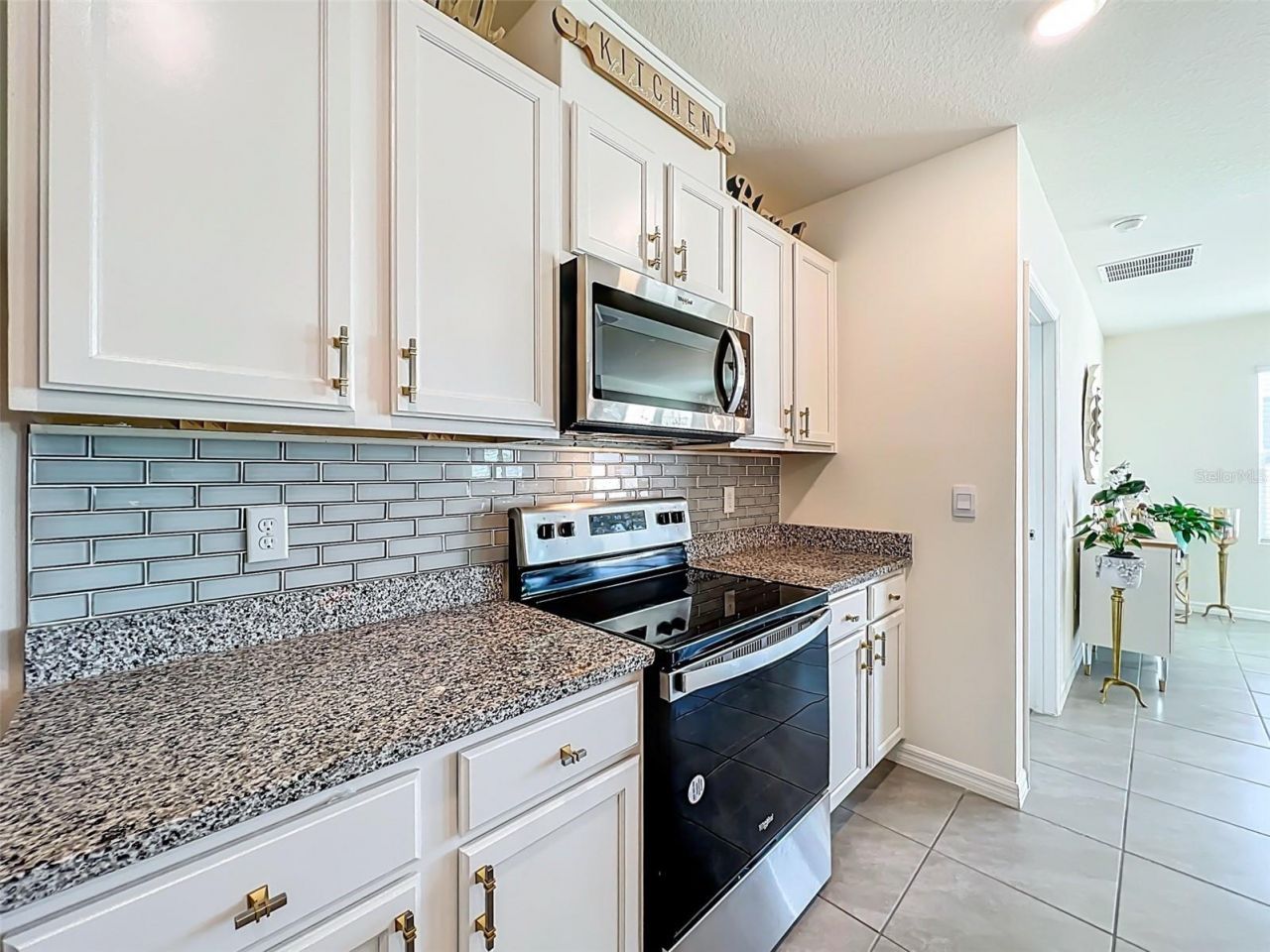 1737 Aurora Ridge Drive, Zellwood, FL 32798 Photo