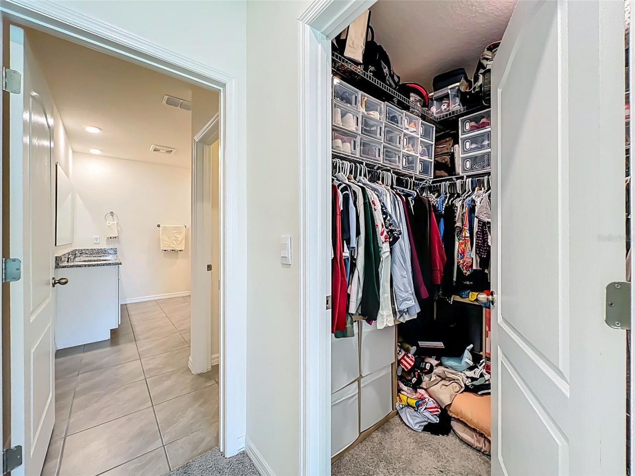 1737 Aurora Ridge Drive, Zellwood, FL 32798 Photo