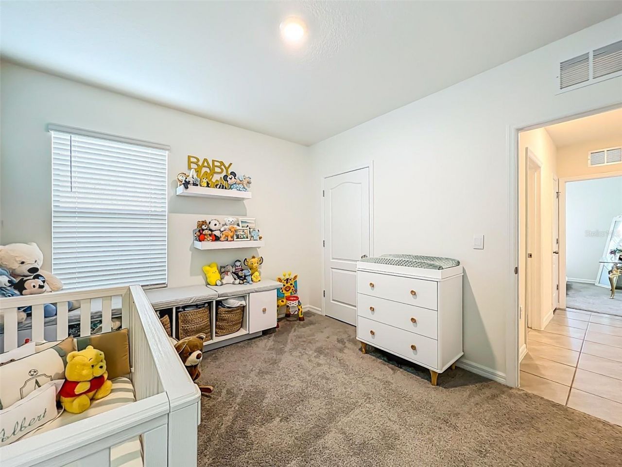 1737 Aurora Ridge Drive, Zellwood, FL 32798 Photo