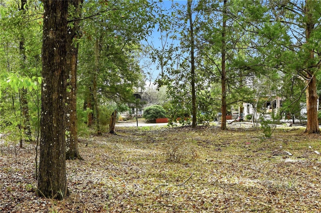 22215 135th Court, O Brien, FL 32071 Photo