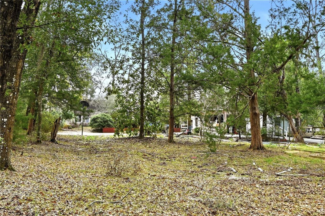 22215 135th Court, O Brien, FL 32071 Photo