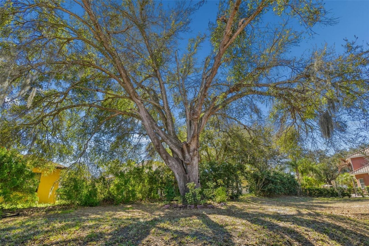 614 Vintage Way , Brandon, FL 33511 Photo