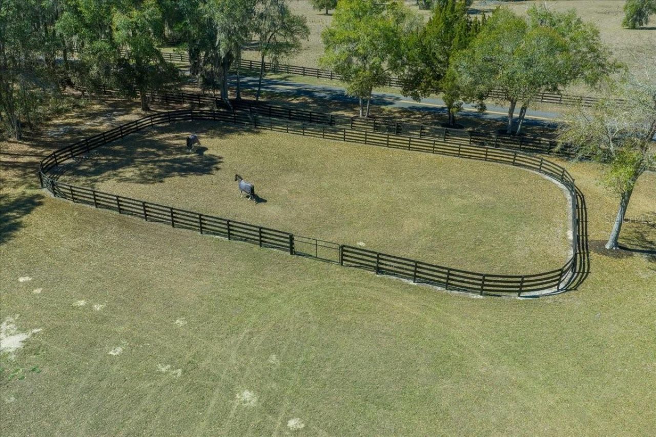 6655 NW 145th Avenue Road, Morriston, FL 32668 Photo