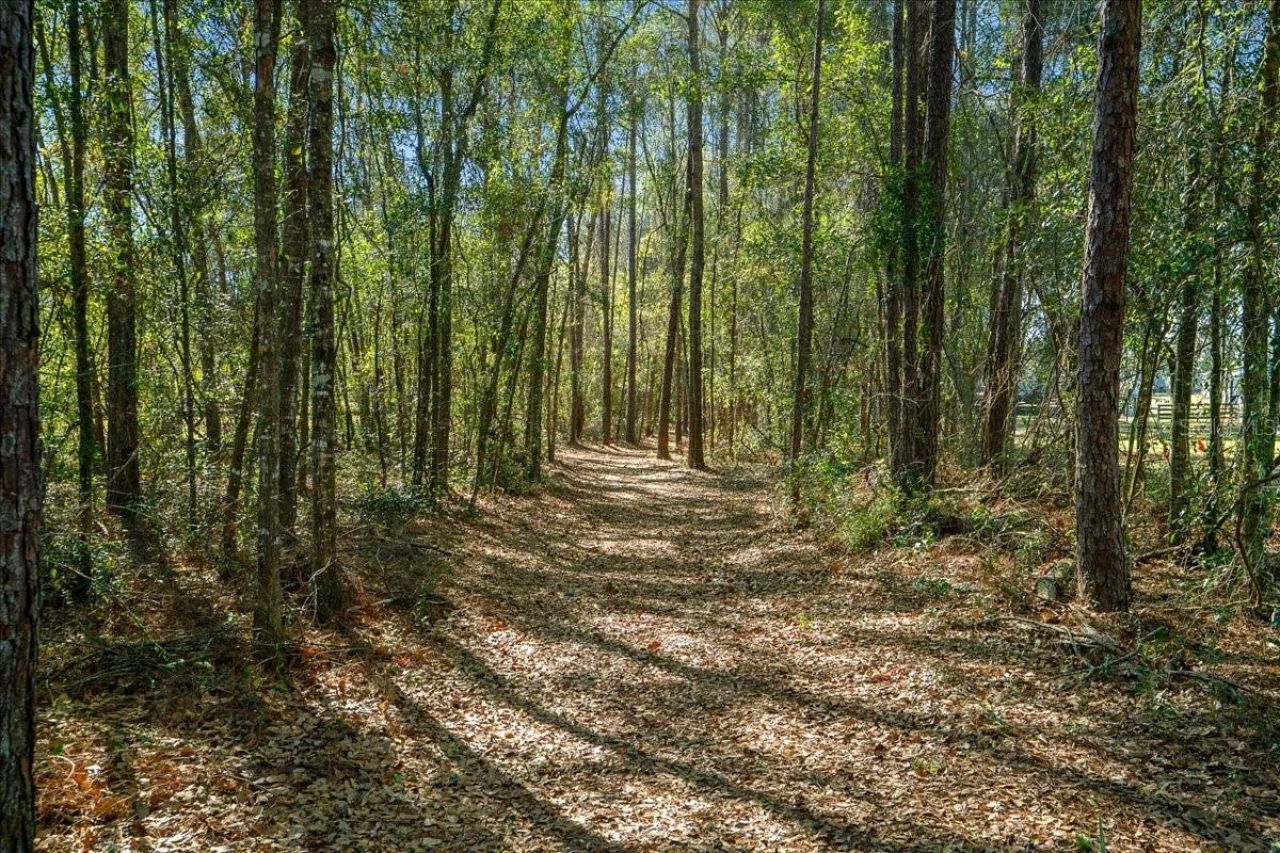 6655 NW 145th Avenue Road, Morriston, FL 32668 Photo