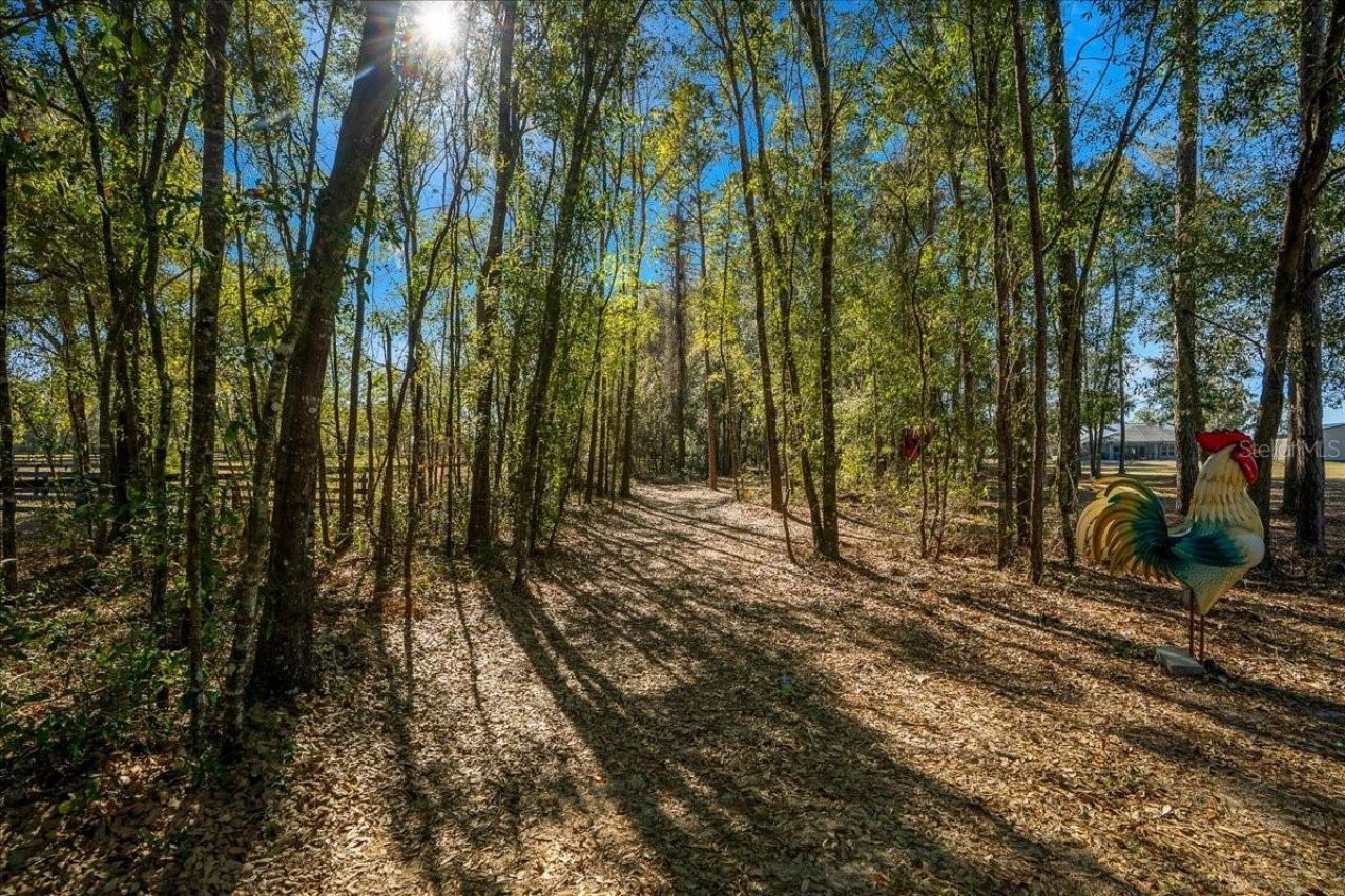 6655 NW 145th Avenue Road, Morriston, FL 32668 Photo