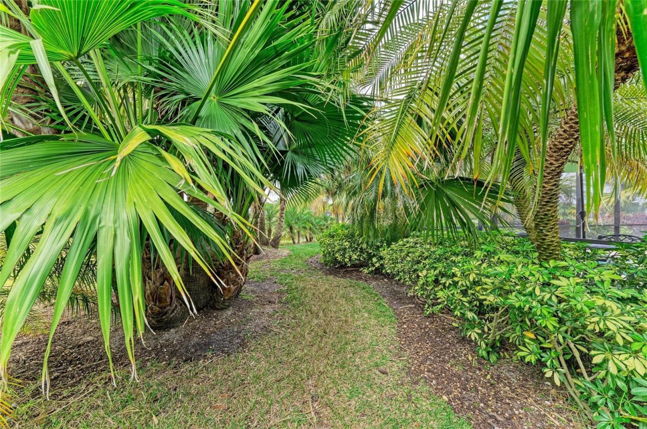 302 Cockle Shell Loop, Apollo Beach, FL 33572 Photo
