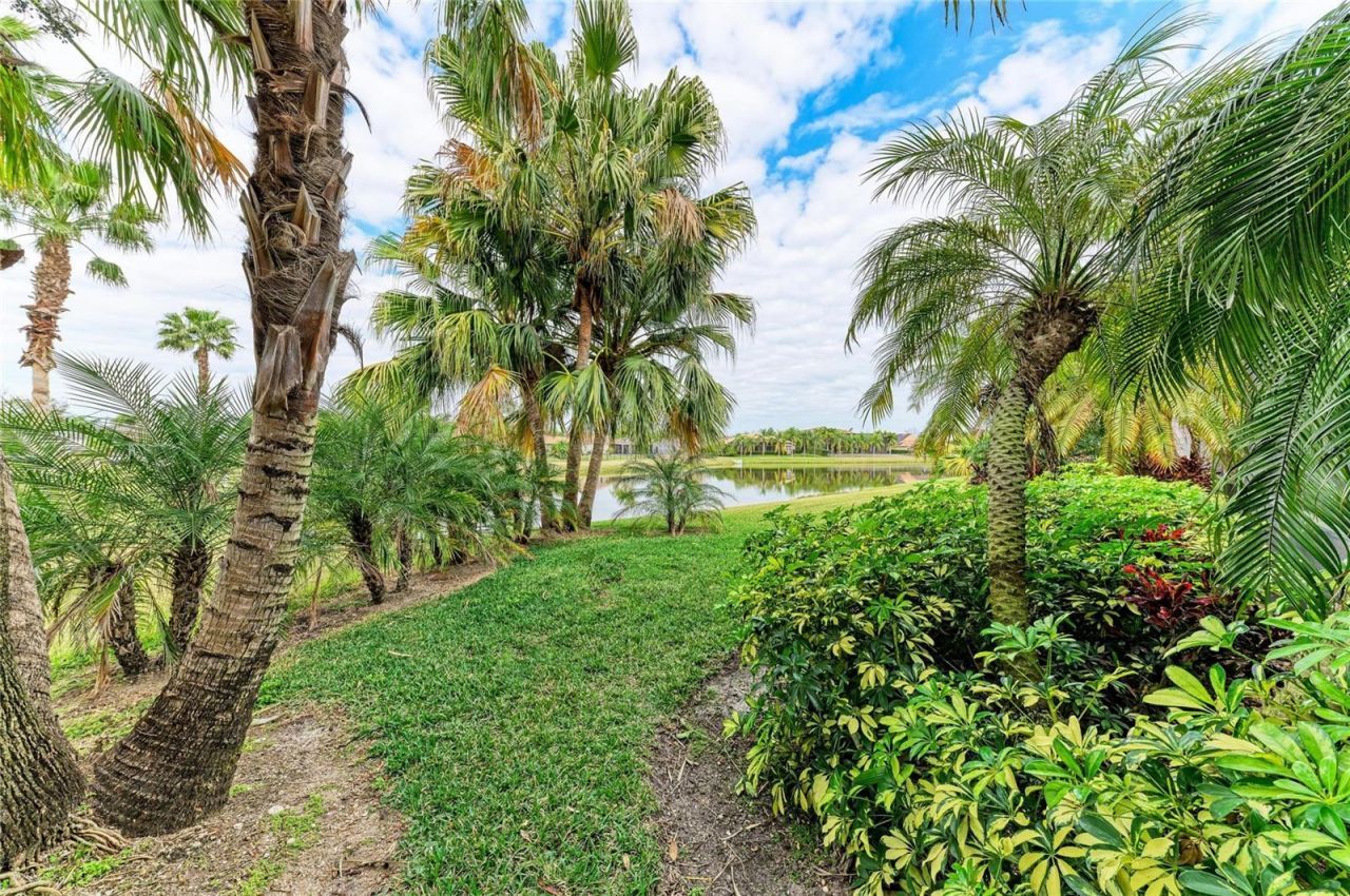 302 Cockle Shell Loop, Apollo Beach, FL 33572 Photo