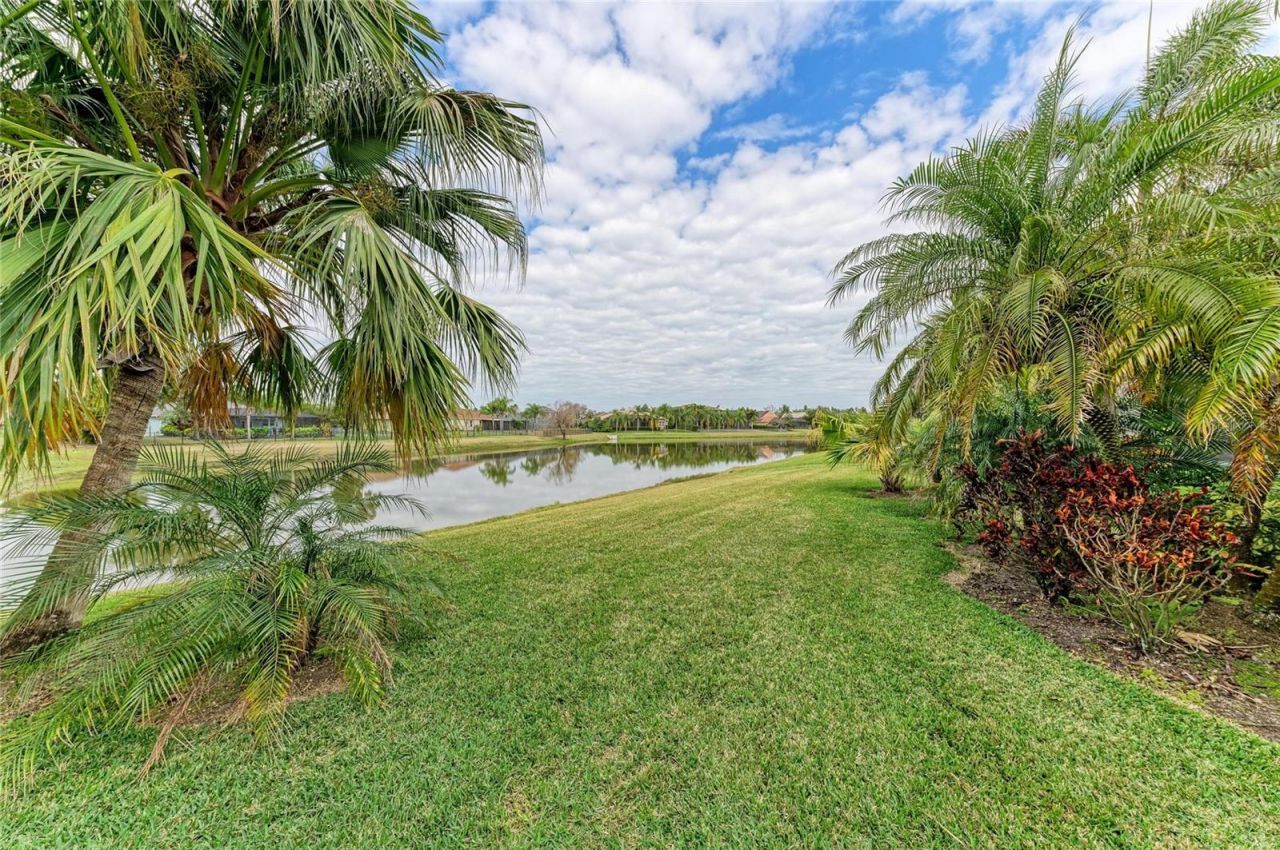 302 Cockle Shell Loop, Apollo Beach, FL 33572 Photo