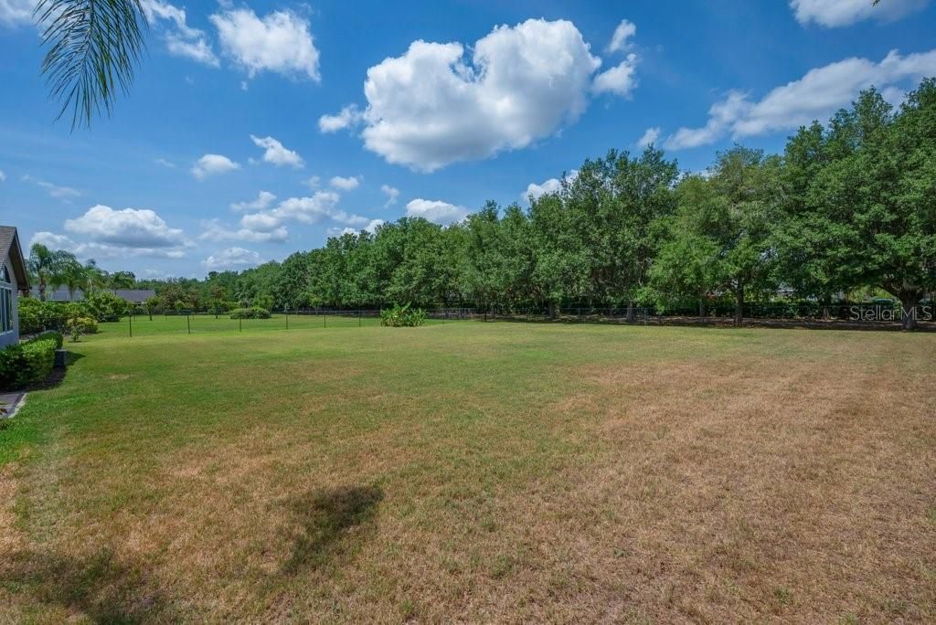 5507 Keeler Oak Street, Lithia, FL 33547 Photo