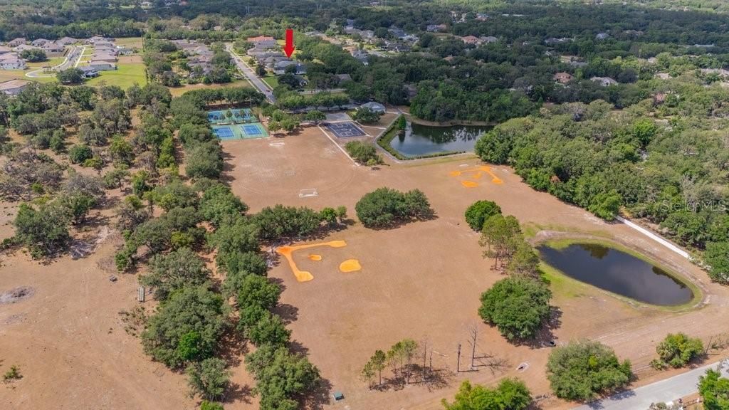 5507 Keeler Oak Street, Lithia, FL 33547 Photo