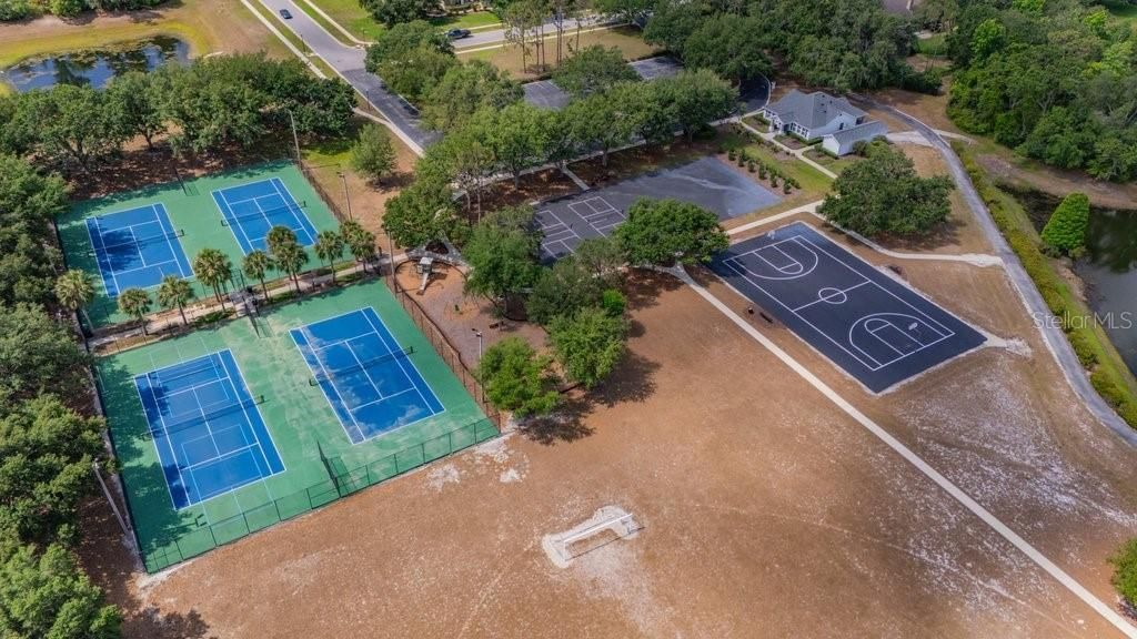 5507 Keeler Oak Street, Lithia, FL 33547 Photo