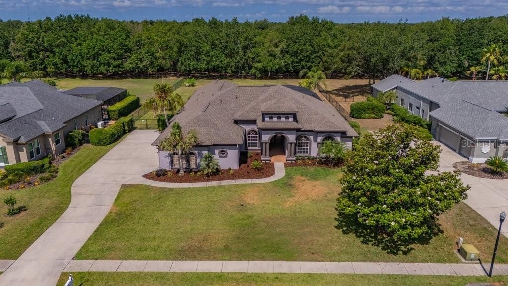 5507 Keeler Oak Street, Lithia, FL 33547 Photo