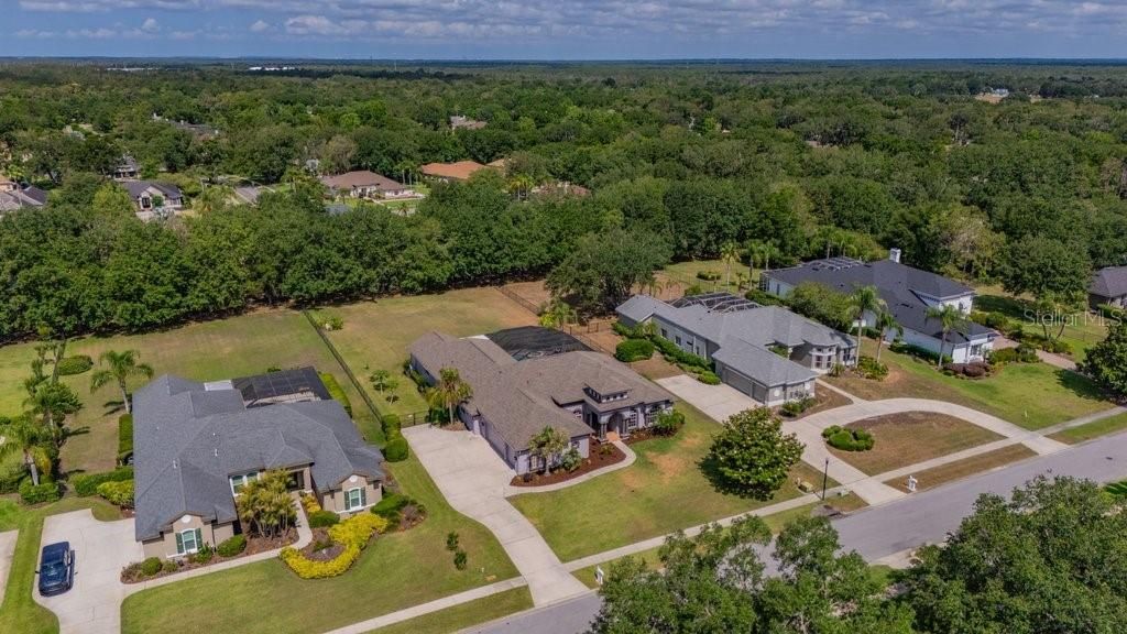 5507 Keeler Oak Street, Lithia, FL 33547 Photo