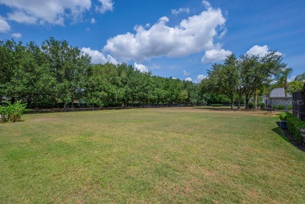 5507 Keeler Oak Street, Lithia, FL 33547 Photo