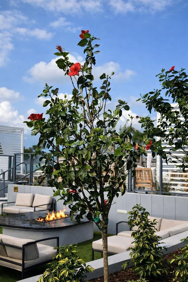 400 Central Avenue, Unit 2603, Saint Petersburg, FL 33701 Photo