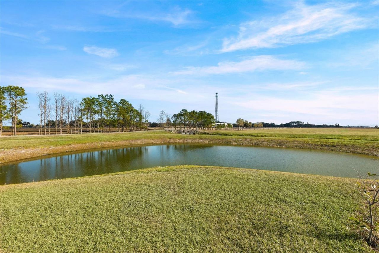 35005 Clay Gully Road, Myakka City, FL 34251 Photo
