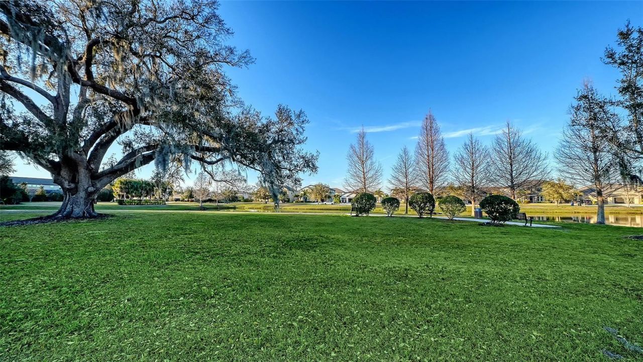 13071 Utopia Loop, Bradenton, FL 34211 Photo