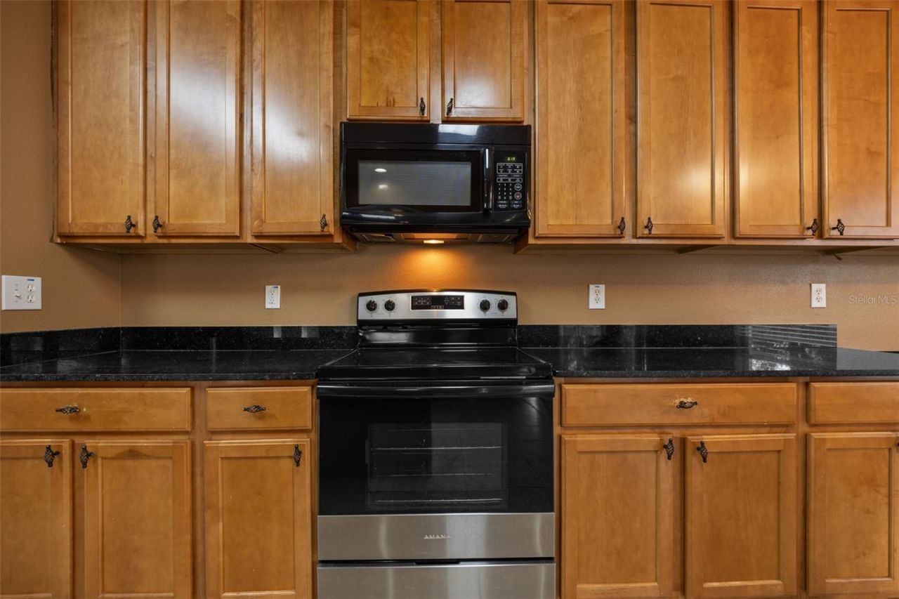 12112 Luftburrow Lane, Hudson, FL 34669 Photo