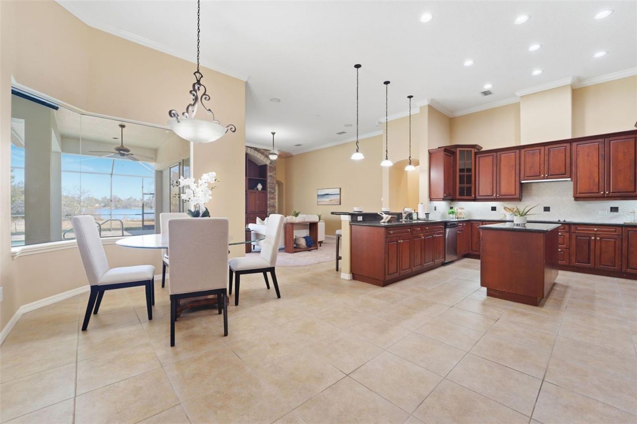 21235 Sky Vista Drive , Land O Lakes, FL 34637 Photo