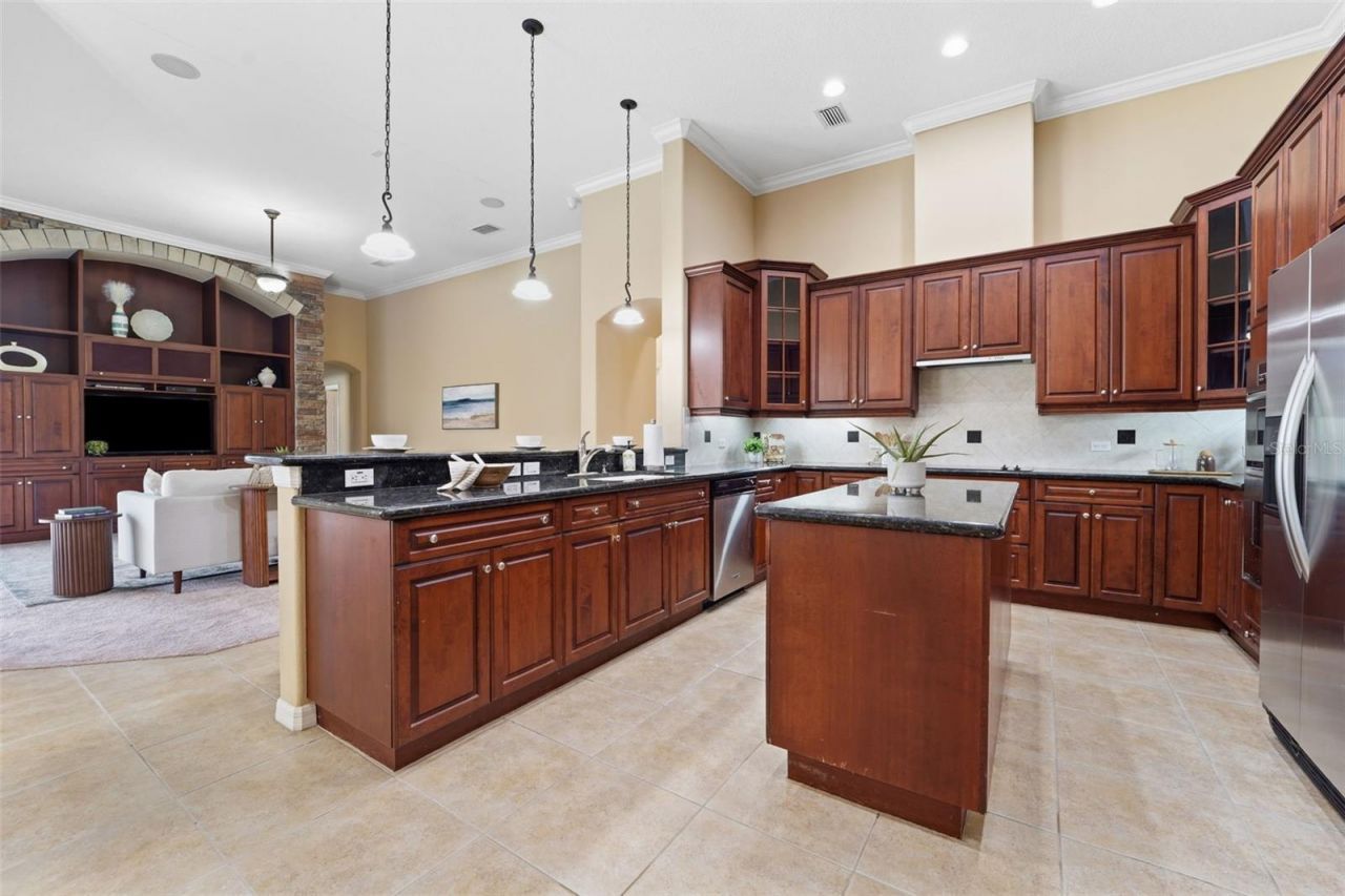 21235 Sky Vista Drive , Land O Lakes, FL 34637 Photo