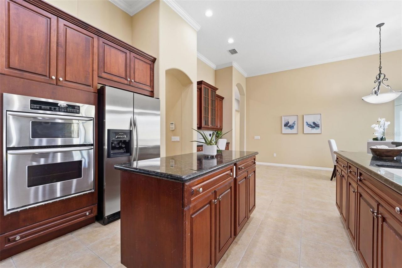 21235 Sky Vista Drive , Land O Lakes, FL 34637 Photo