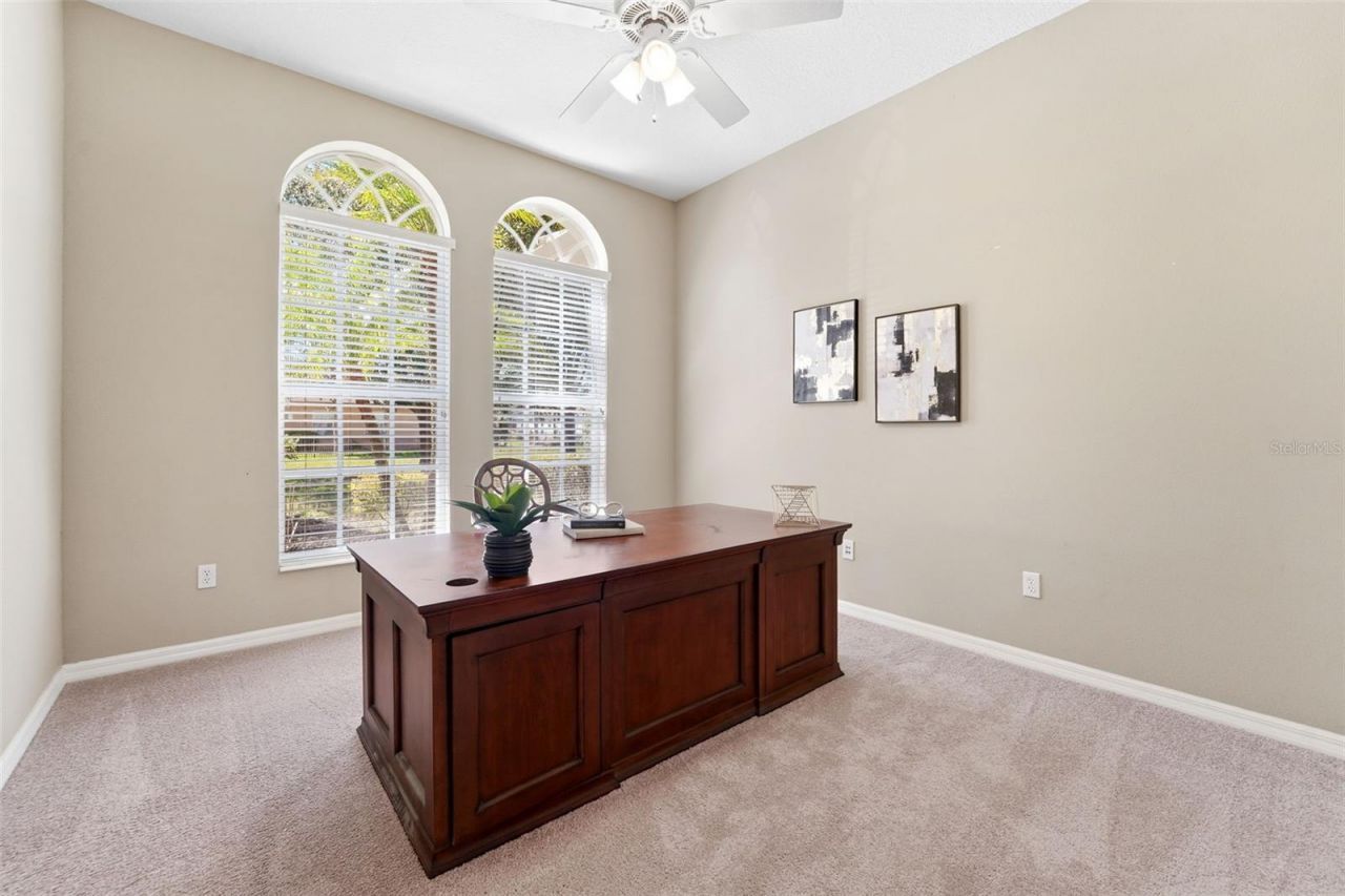 21235 Sky Vista Drive, Land O Lakes, FL 34637 Photo