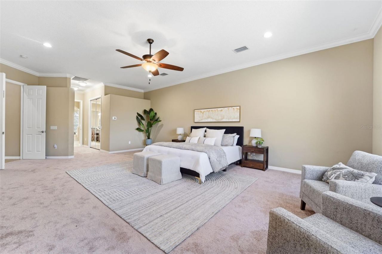 21235 Sky Vista Drive, Land O Lakes, FL 34637 Photo