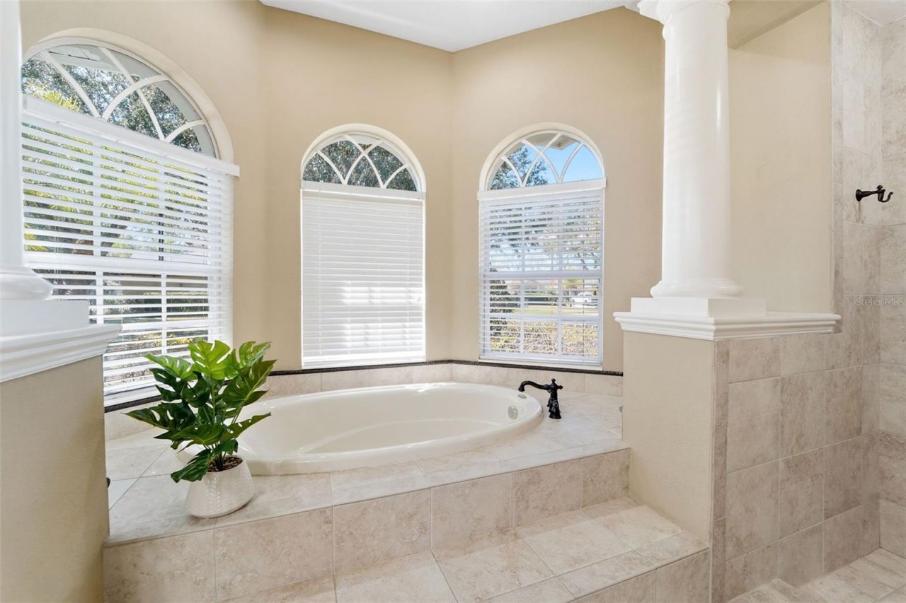 21235 Sky Vista Drive, Land O Lakes, FL 34637 Photo