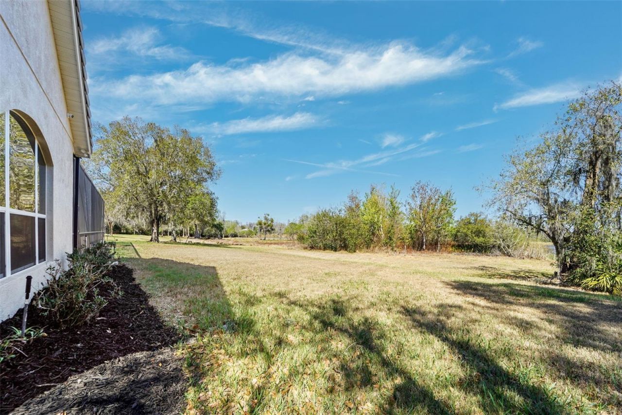 21235 Sky Vista Drive, Land O Lakes, FL 34637 Photo