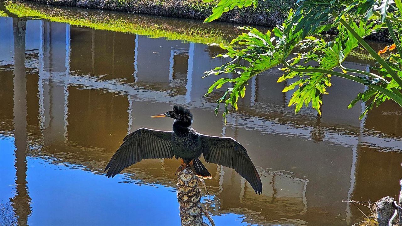 6033 34th Street W, Unit 38, Bradenton, FL 34210 Photo