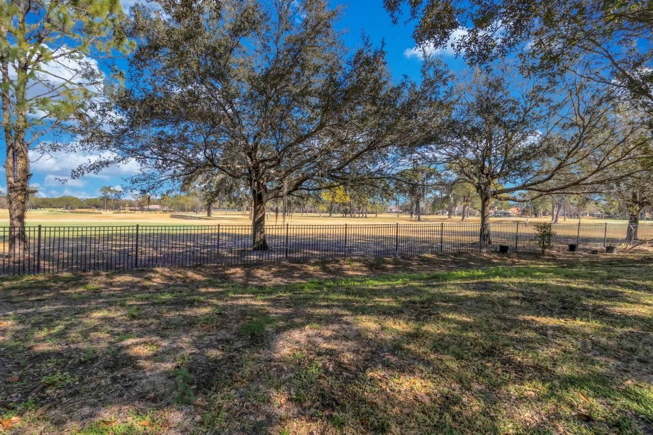 4773 Blue Major Drive , Windermere, FL 34786 Photo