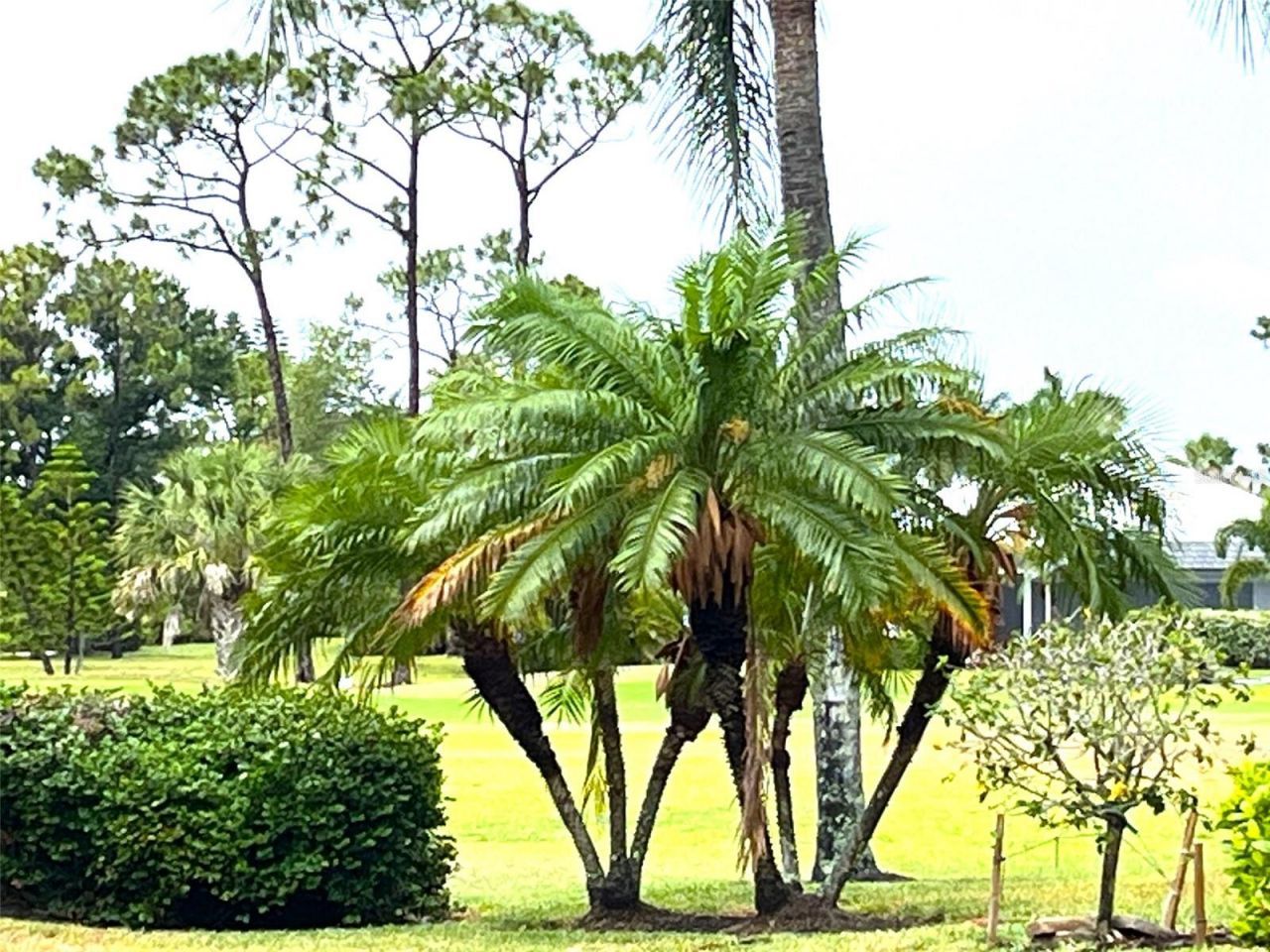 4041 King Tarpon Drive, Punta Gorda, FL 33955 Photo