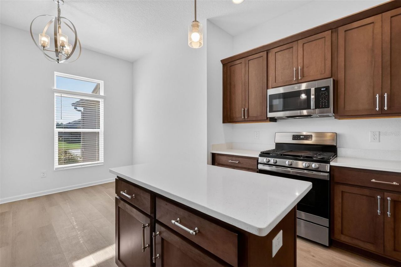 6672 Garner Path, The Villages, FL 34762 Photo