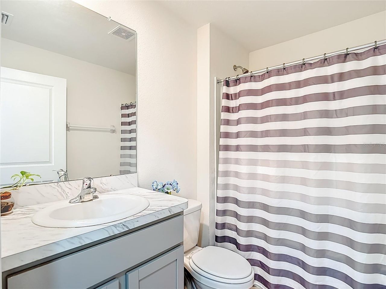 35668 Doveland Drive, Zephyrhills, FL 33541 Photo