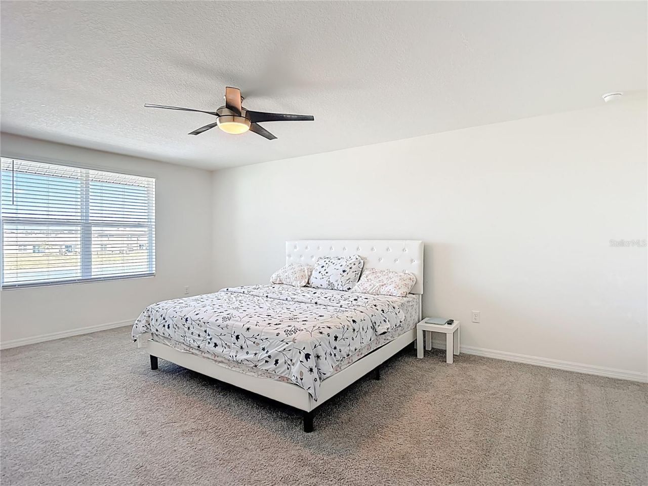 35668 Doveland Drive, Zephyrhills, FL 33541 Photo