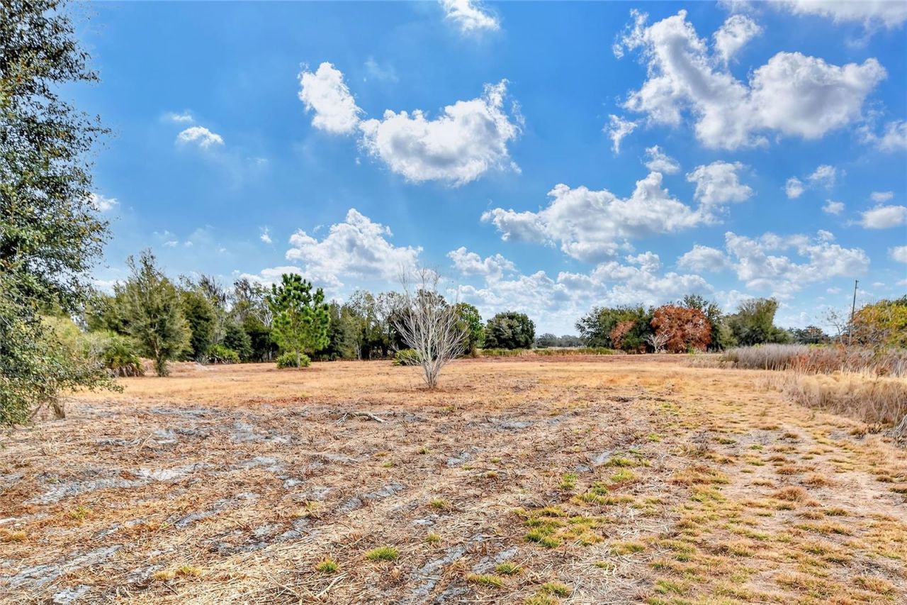 Lake Buffum Road E, Fort Meade, FL 33841 Photo