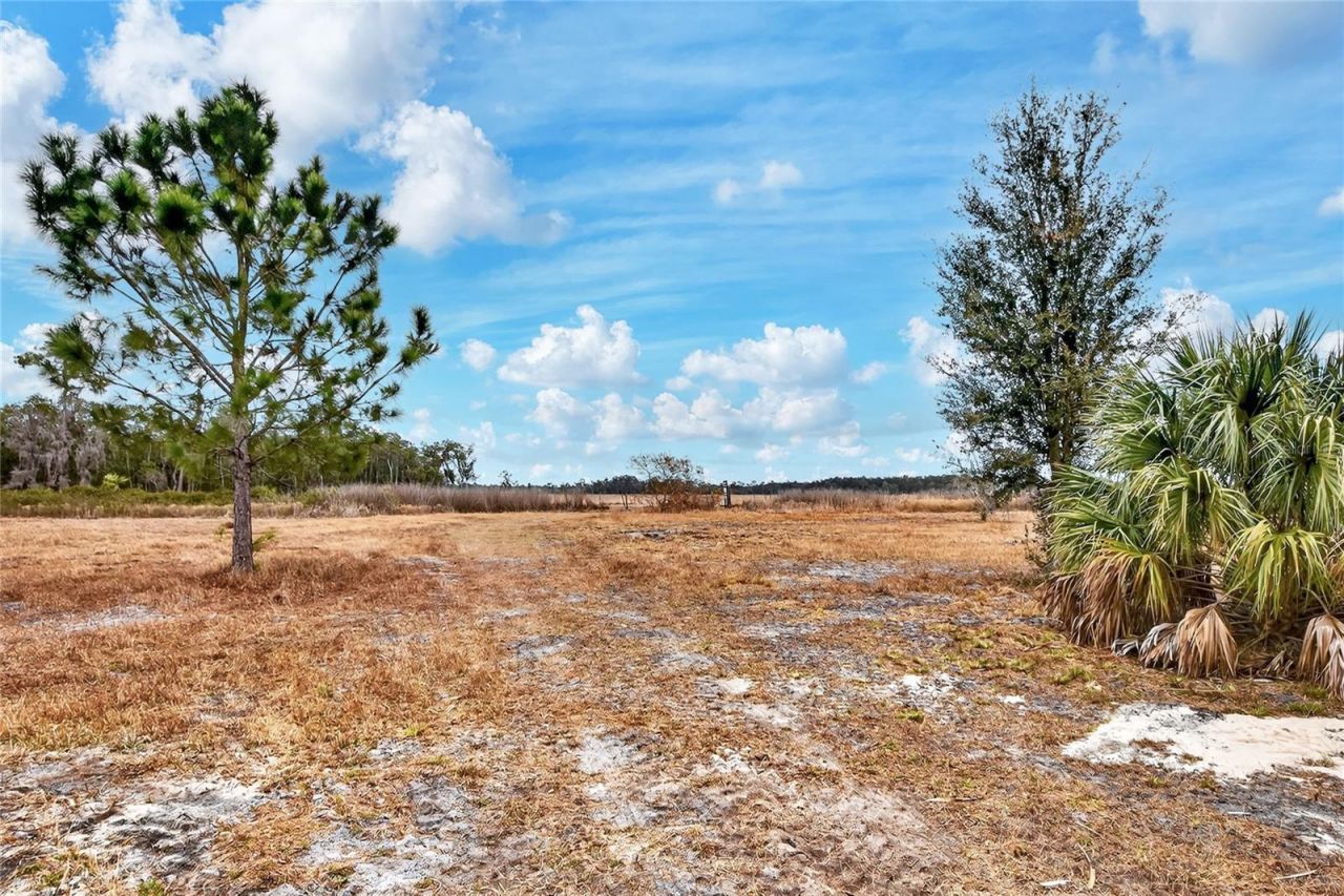 Lake Buffum Road E, Fort Meade, FL 33841 Photo