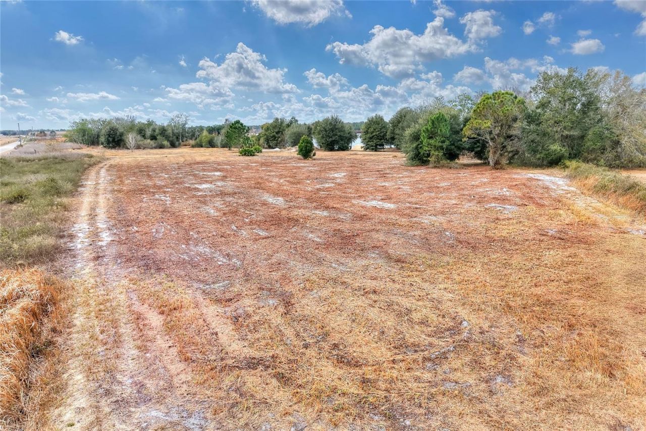 Lake Buffum Road E, Fort Meade, FL 33841 Photo