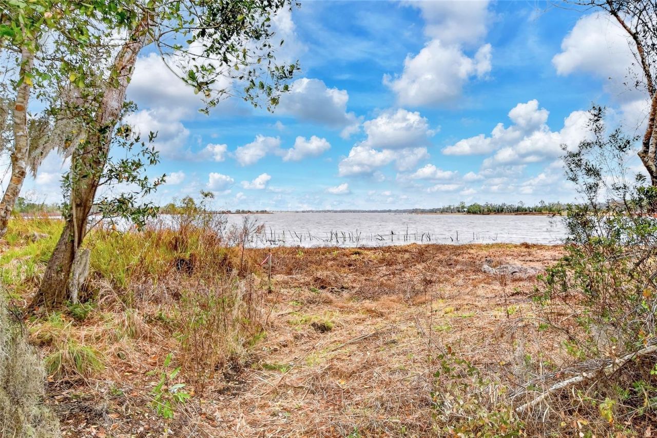 Lake Buffum Road E, Fort Meade, FL 33841 Photo