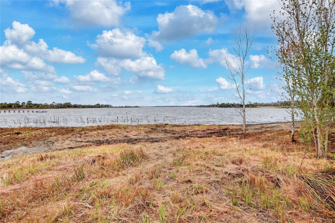 Lake Buffum Road E, Fort Meade, FL 33841 Photo