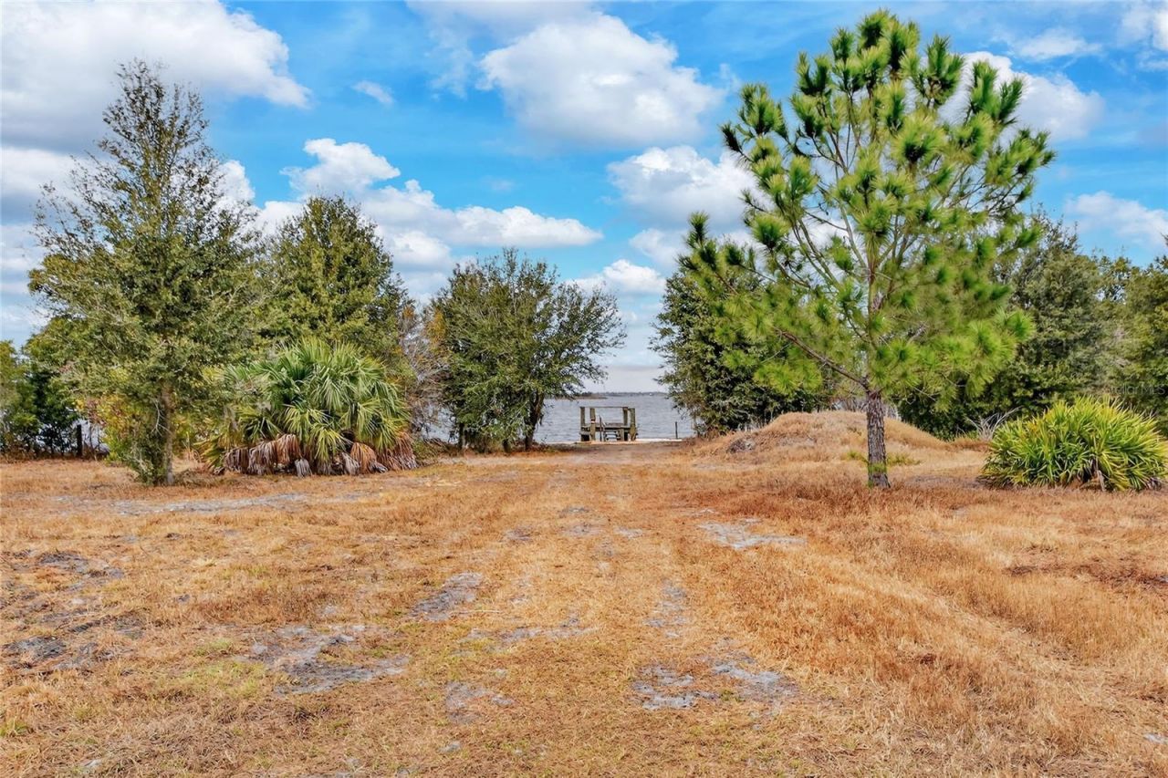 Lake Buffum Road E, Fort Meade, FL 33841 Photo