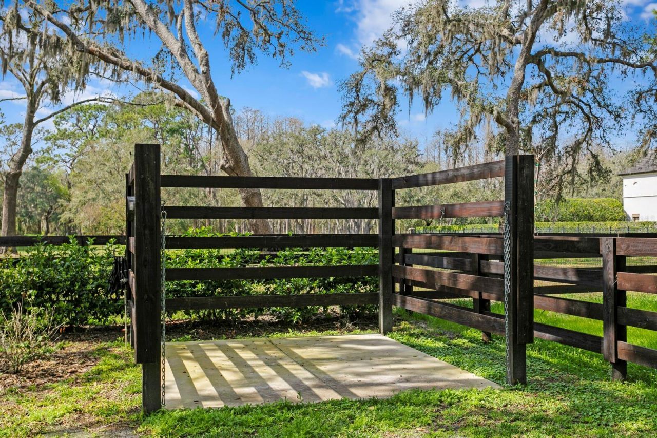 10101 Tarpon Springs Road , Odessa, FL 33556 Photo