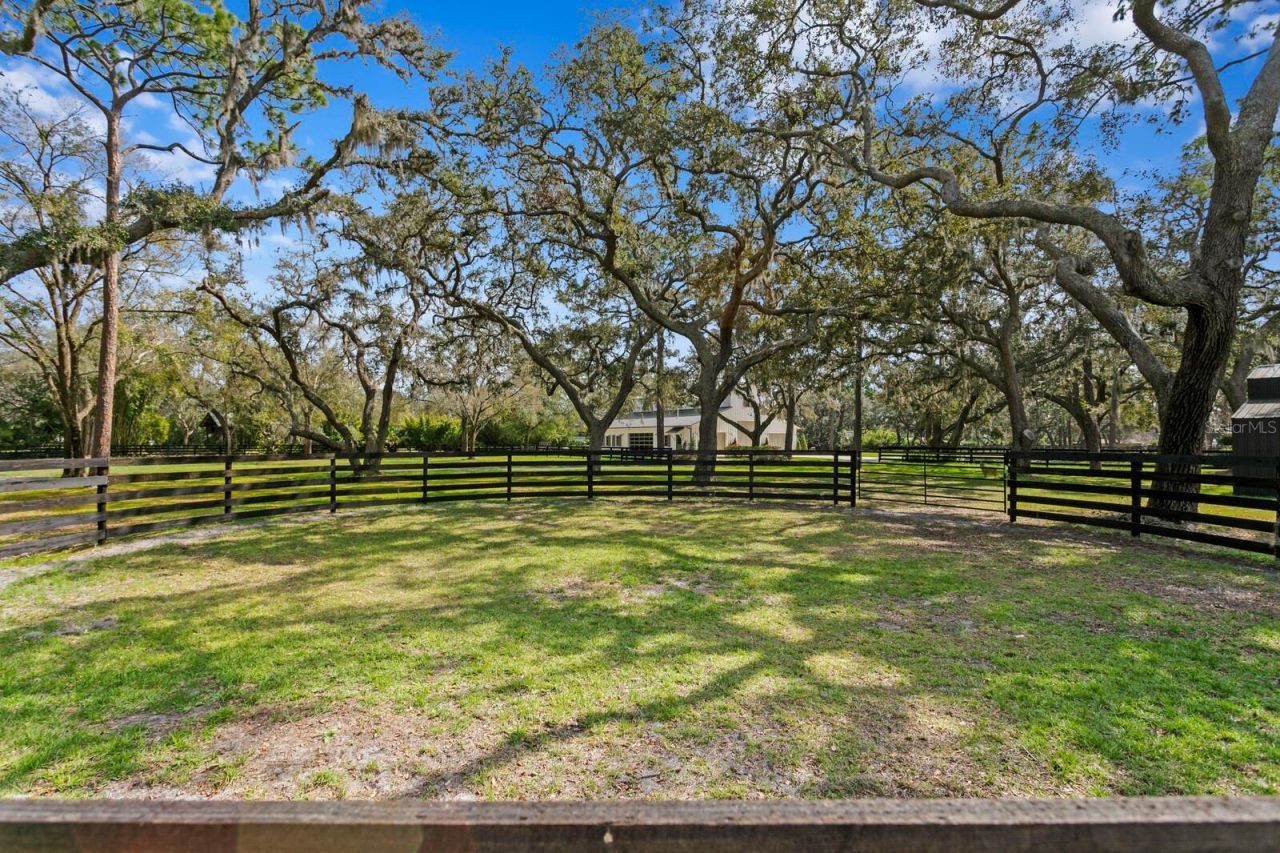 10101 Tarpon Springs Road , Odessa, FL 33556 Photo