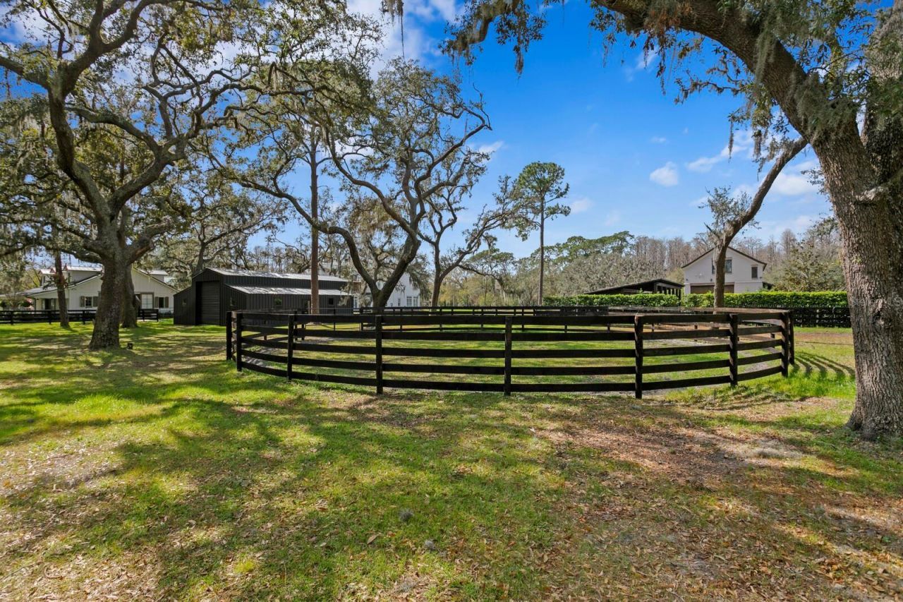 10101 Tarpon Springs Road , Odessa, FL 33556 Photo