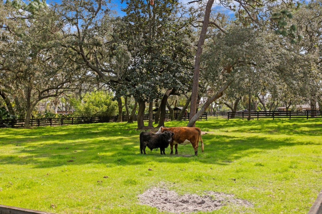 10101 Tarpon Springs Road , Odessa, FL 33556 Photo