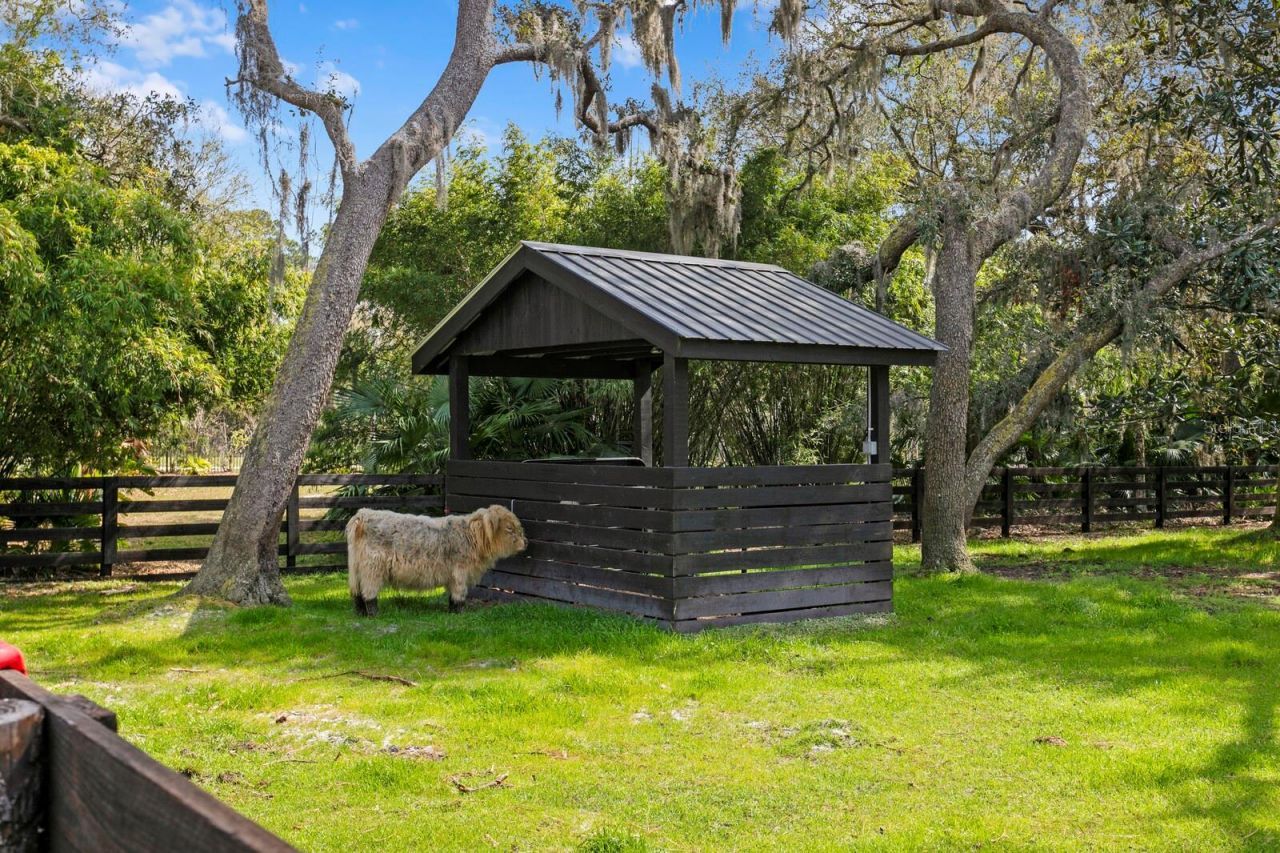 10101 Tarpon Springs Road , Odessa, FL 33556 Photo